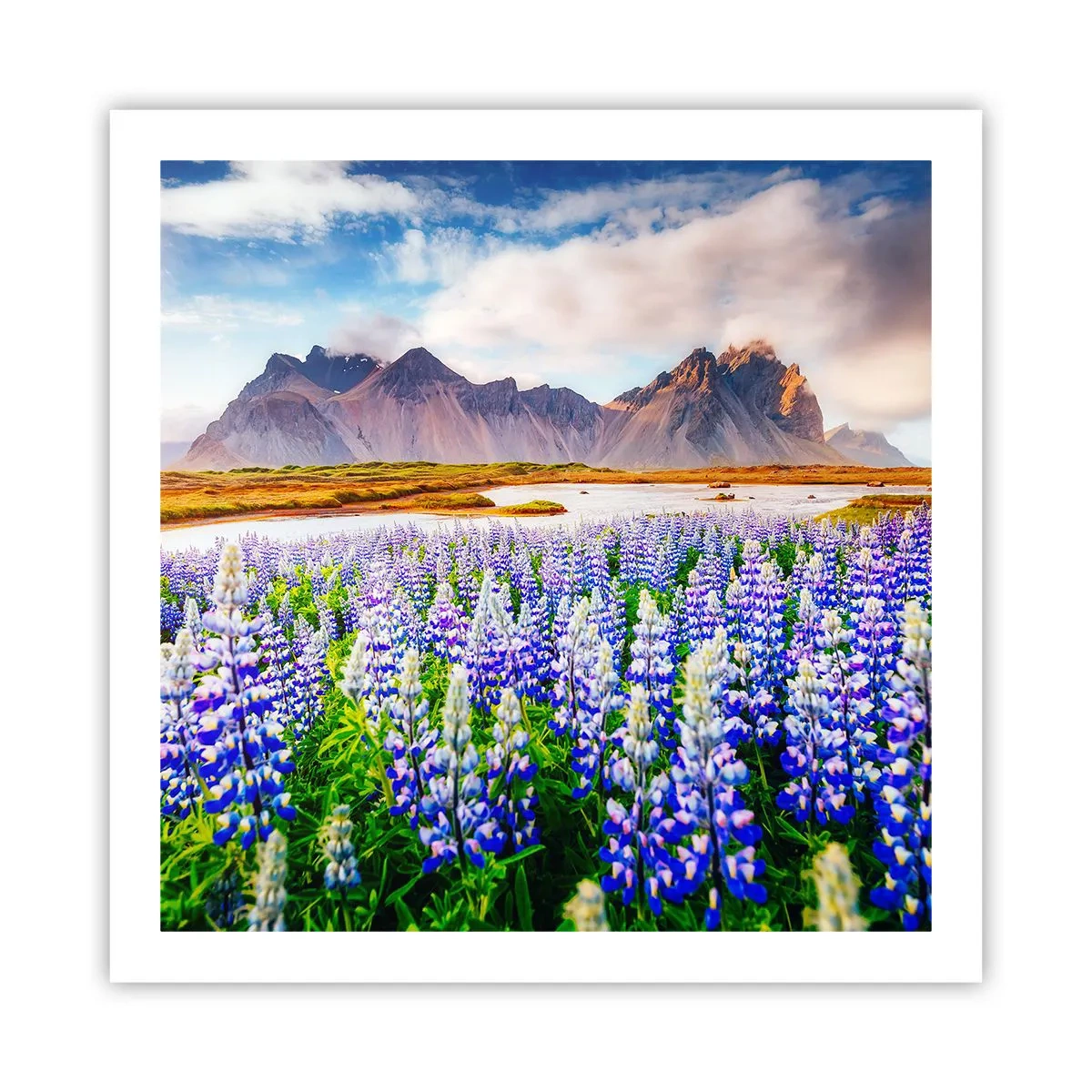 Plakat - Styrke og strenghed ved siden af blidhed - 60x60 cm