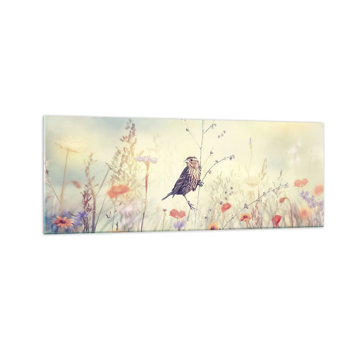 Billede på glas - Fugleportræt med en eng i baggrunden - 140x50 cm