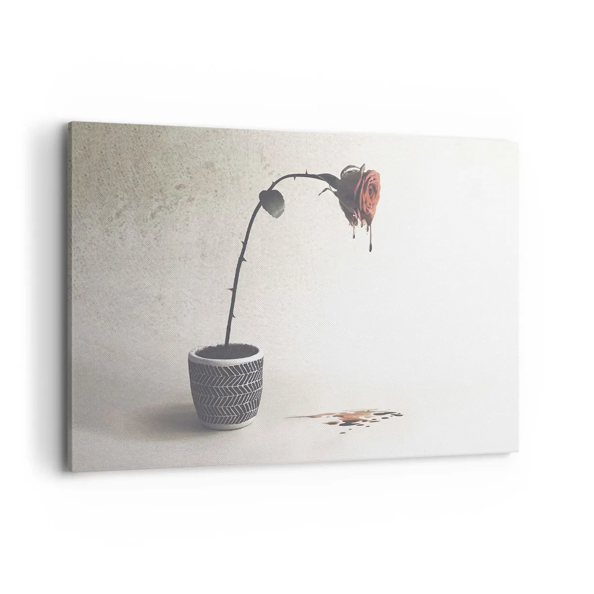Lærredstryk - Billede på lærred - Rosa dolorosa - 120x80 cm