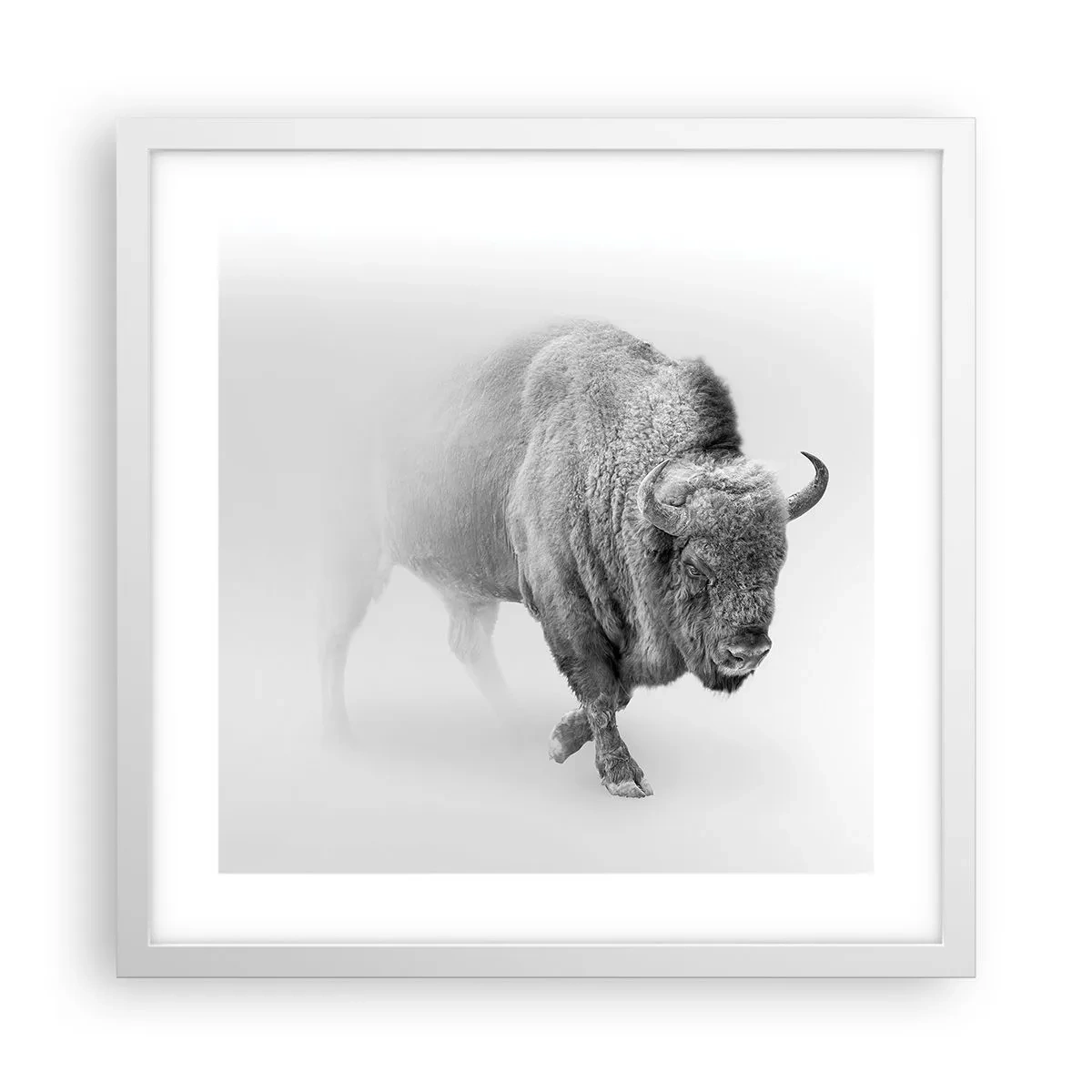 Plakat i hvid ramme - Kongen af prærien - 40x40 cm