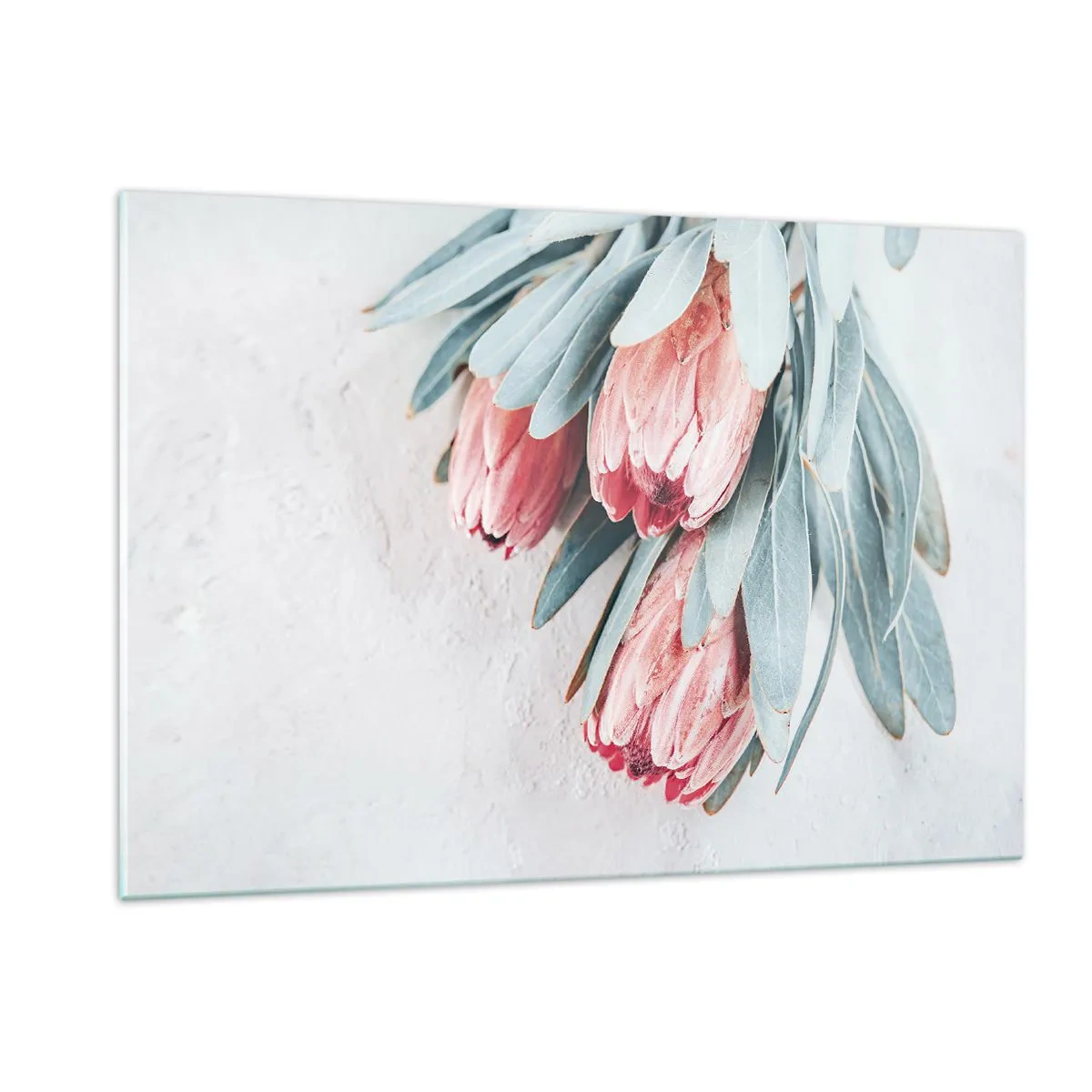 Billede på glas - Skammer sig over deres egen skønhed - 120x80 cm