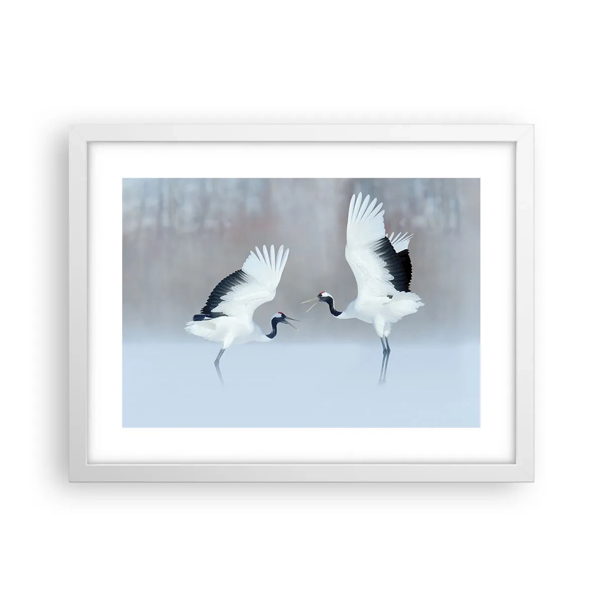 Plakat i hvid ramme - Danser i tågen - 40x30 cm