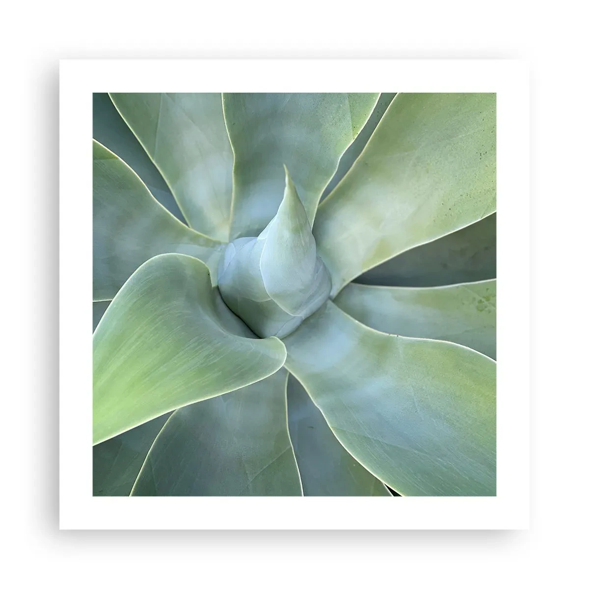 Plakat - Den grønne fødsel - 50x50 cm