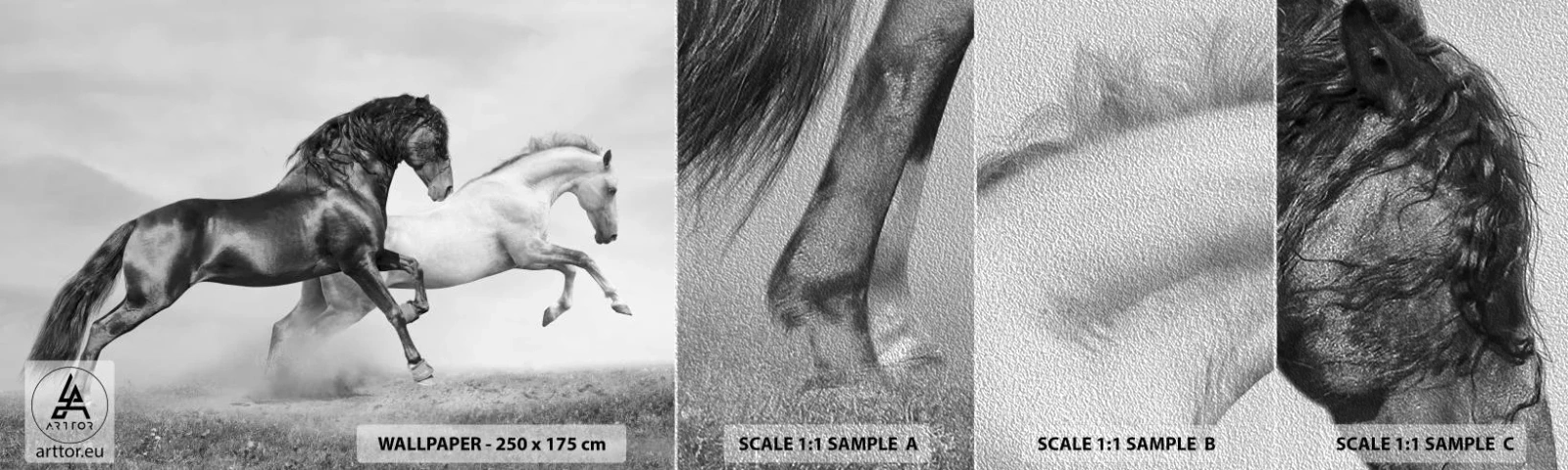 Prøve Fototapet Premium Sand - Engle og dæmoner - Dyr, Heste, Natur - 100x30 cm