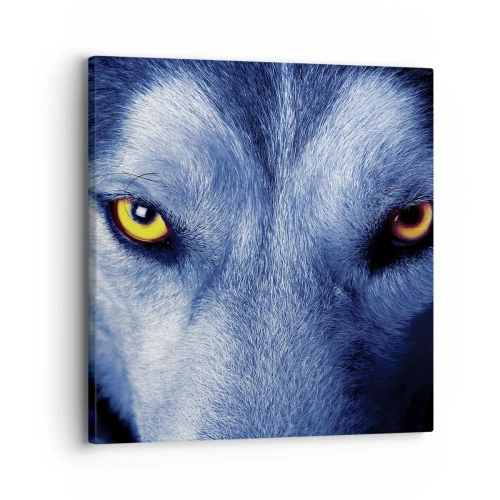 Lærredstryk - Billede på lærred - Et hypnotiserende udseende - 30x30 cm