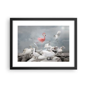 Plakat i sort ramme - Hvor kommer jeg fra? - 40x30 cm