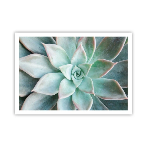 Plakat - Hjertet af ørkenen - 100x70 cm