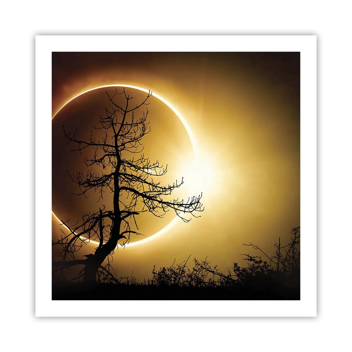 Plakat - Total formørkelse - 60x60 cm