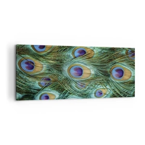 Lærredstryk - Billede på lærred - En påfugls blik - 120x50 cm