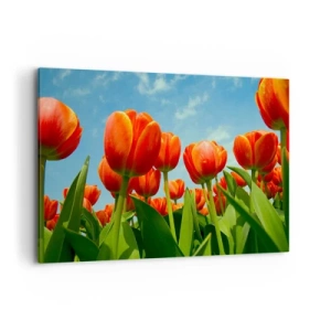 Lærredstryk - Billede på lærred - Bortset fra den blå himmel behøver de intet i livet - 100x70 cm