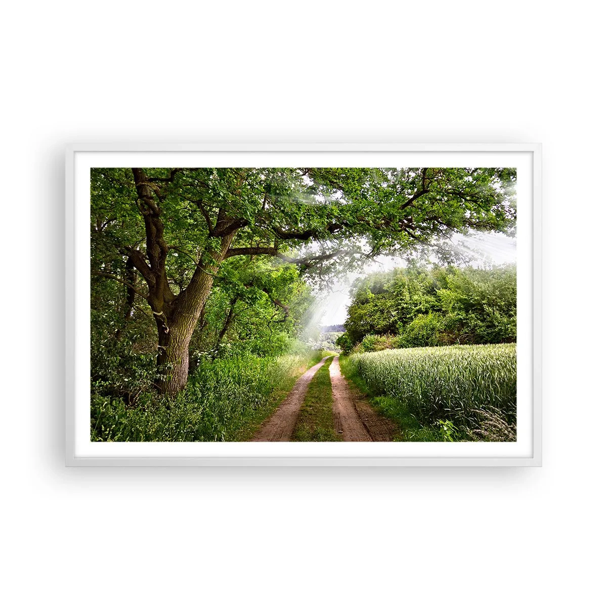 Plakat i hvid ramme - Et in Arcadia ego - 91x61 cm