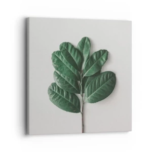 Lærredstryk - Billede på lærred - Tegning af selve naturen - 40x40 cm