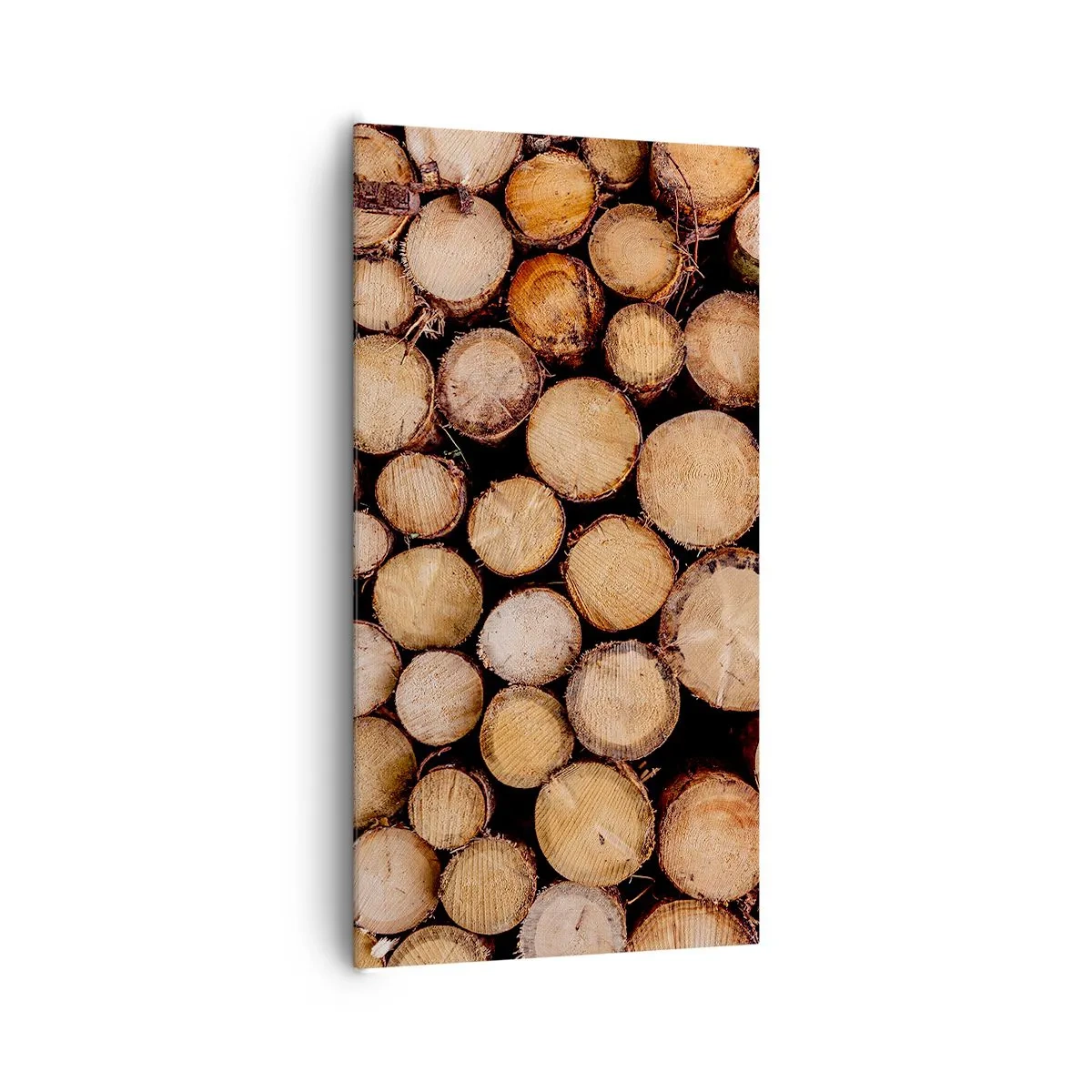 Lærredstryk - Billede på lærred - En ny begyndelse - 65x120 cm