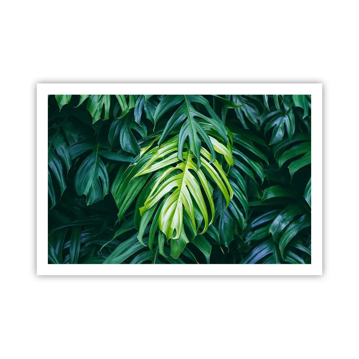 Plakat - Fordyb dig i friskhed - 91x61 cm