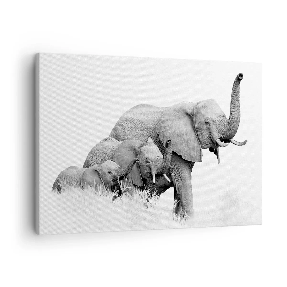 Lærredstryk - Billede på lærred - En elefantfamilie mod et afrikansk landskab i sort-hvid. - 70x50cm - En, to, tre - Moderne vægdekoration til stue og soveværelse ARTTOR