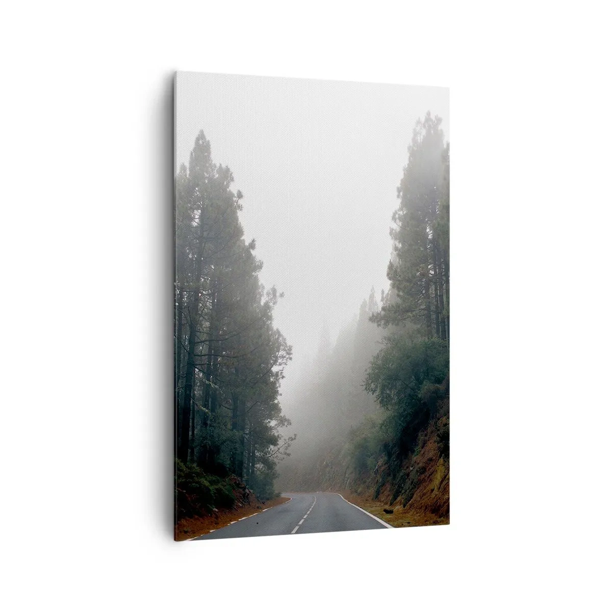 Lærredstryk - Billede på lærred - En fortælling om en magisk skov - 80x120 cm