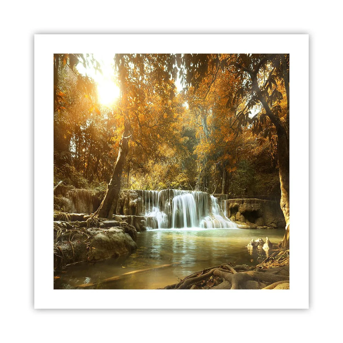 Plakat - Kaskade i parken - 50x50 cm