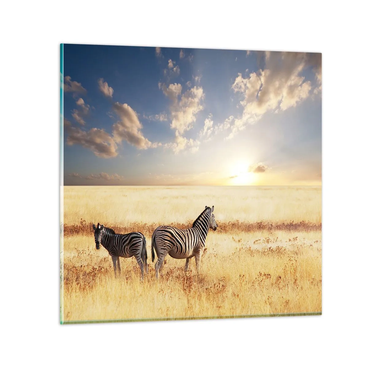 Billede på glas - Gå væk, forstyrr ikke freden - 60x60 cm