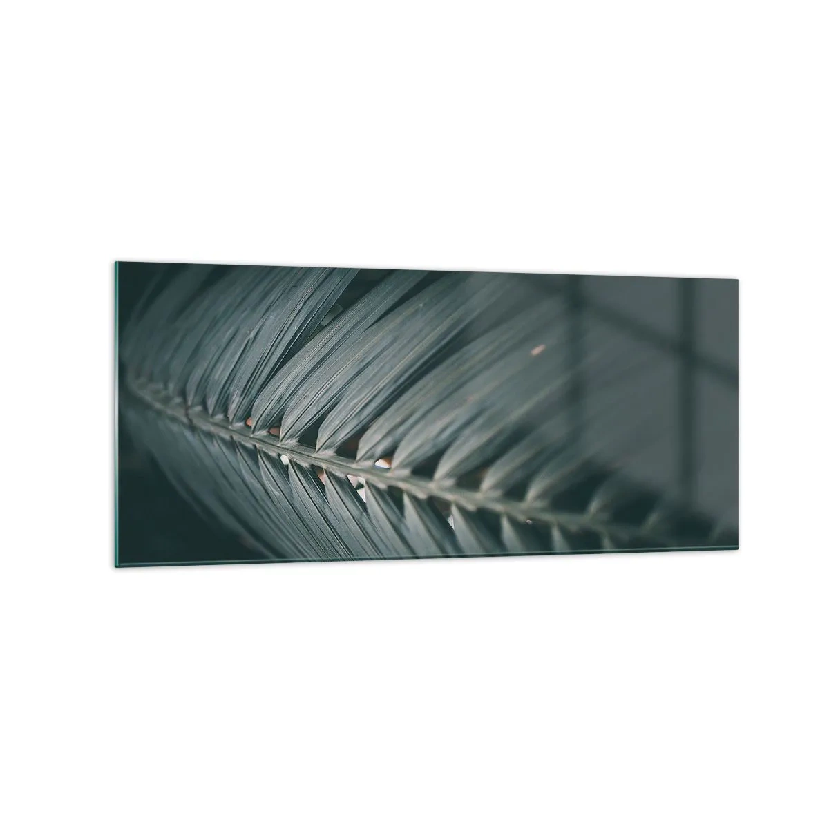 Billede på glas - Naturens præcision - 120x50 cm