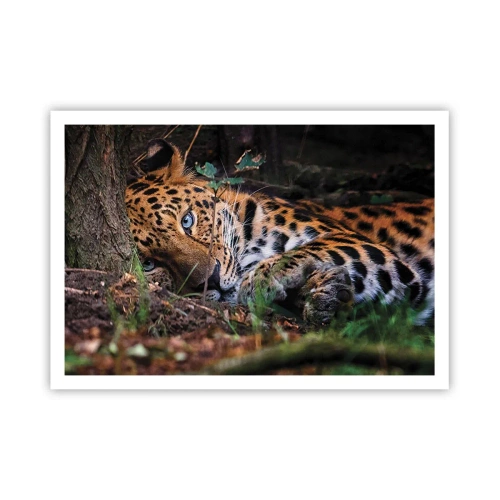 Plakat - Stol på mig - 100x70 cm