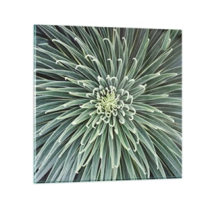 Billede på glas - En stjernes fødsel - 70x70 cm