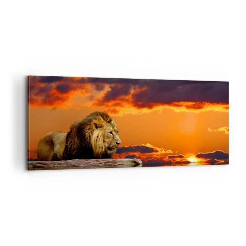 Lærredstryk - Billede på lærred - Naturens konge - 100x40 cm