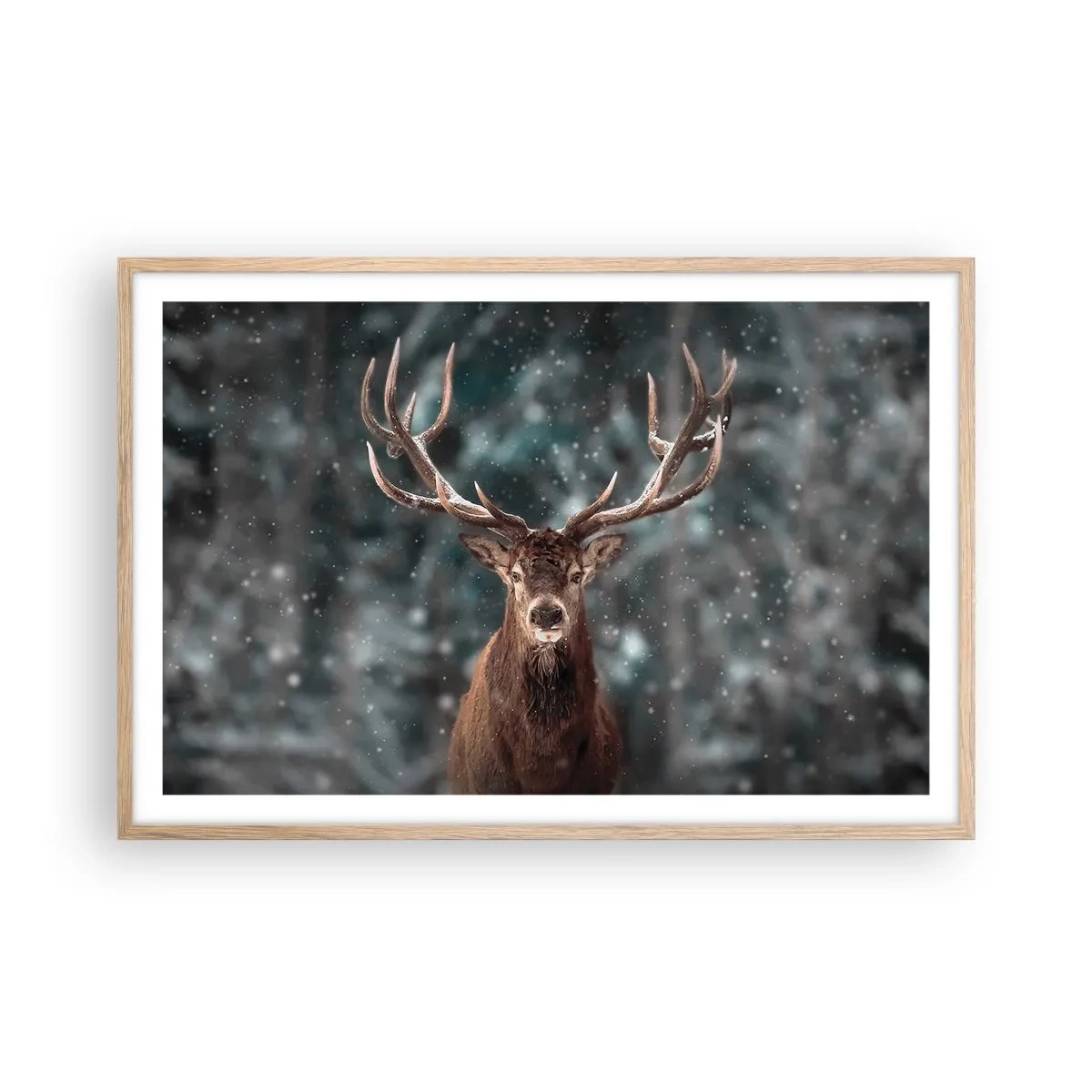 Plakat i ramme af lyst egetræ - Skovens konge kronet - 91x61 cm