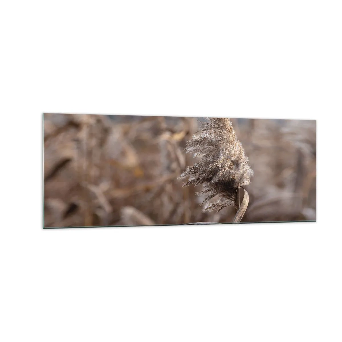 Billede på glas - Tid til at flyve væk med vinden - 140x50 cm