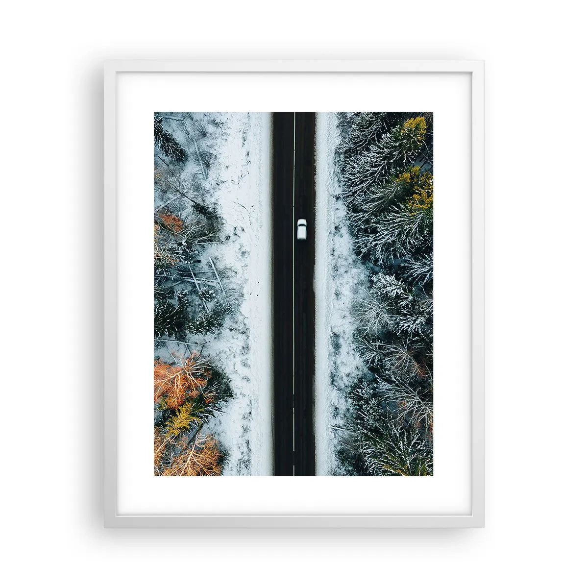 Plakat i hvid ramme - Skær gennem vinterskoven - 40x50 cm