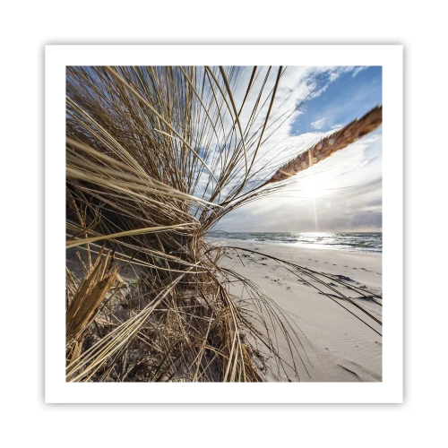 Plakat - Et møde mellem elementerne - 60x60 cm