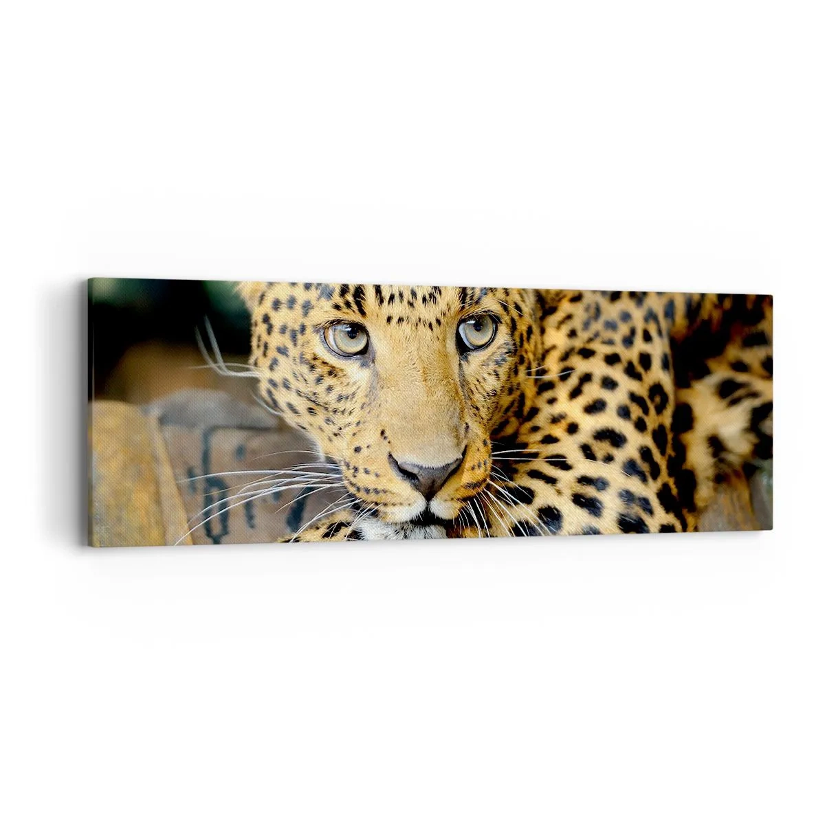 Lærredstryk - Billede på lærred - Vær ikke bange, kom nu - 90x30 cm