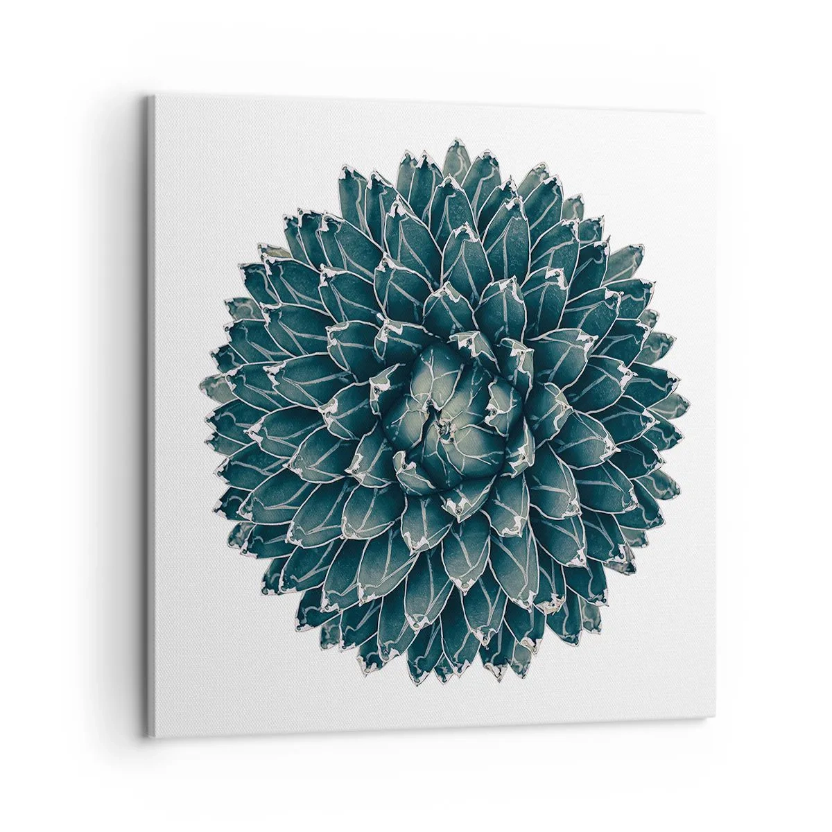Lærredstryk - Billede på lærred - Ørkenstjerne - 60x60 cm