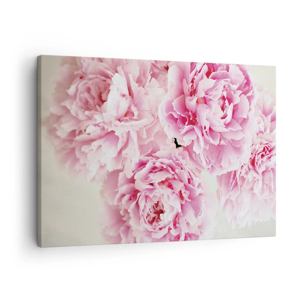 Lærredstryk - Billede på lærred - En buket lyserøde pæoner på en lys baggrund - 70x50cm - I lyserød glamour - Moderne vægdekoration til stue og soveværelse ARTTOR