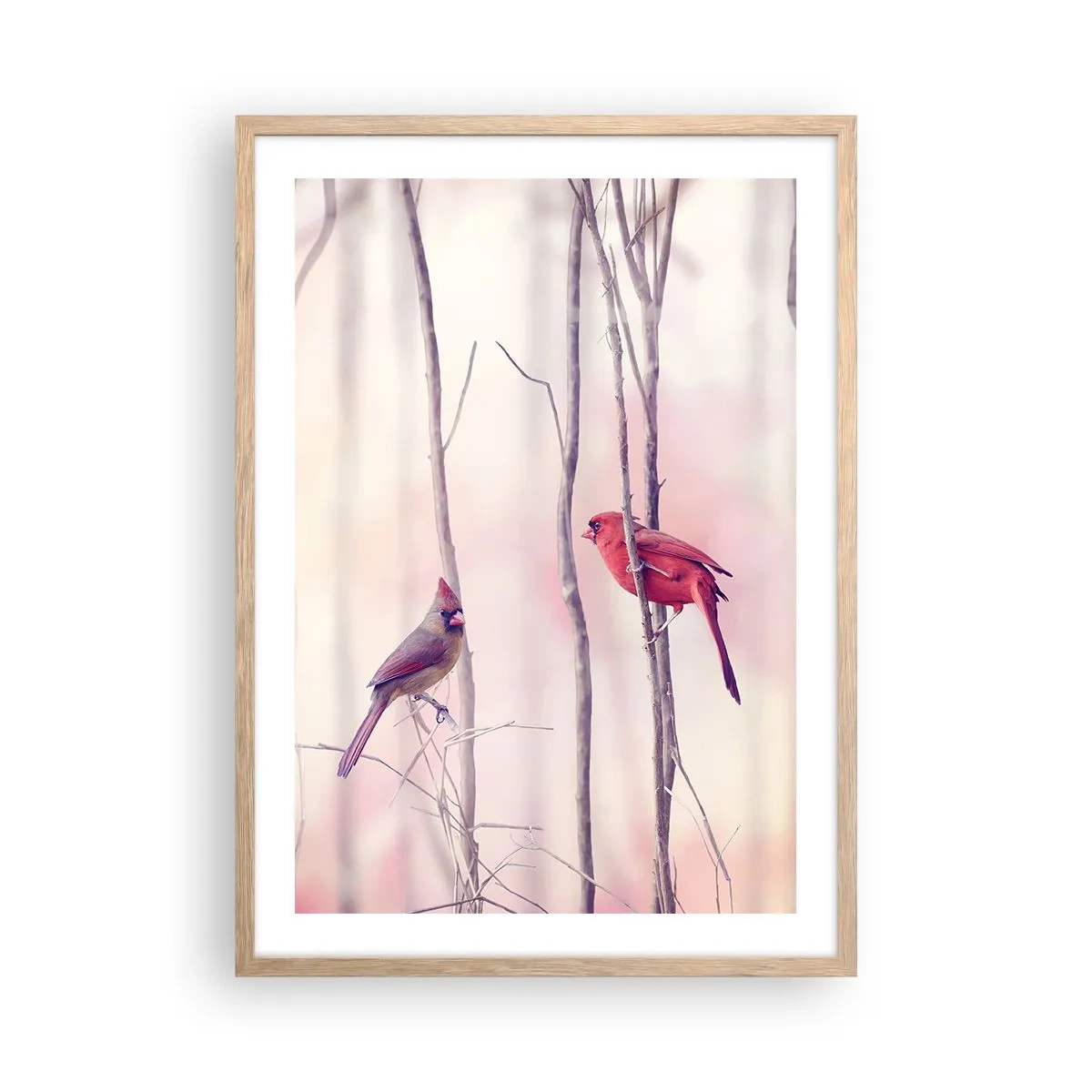 Plakat i ramme af lyst egetræ - Fortællingen om den lyserøde skov - 50x70 cm