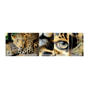 Prøve Fototapet Selvklæbende Deluxe Sticker - Vær ikke bange, kom nu - Dyr, Panter, Vild kat - 100x30 cm