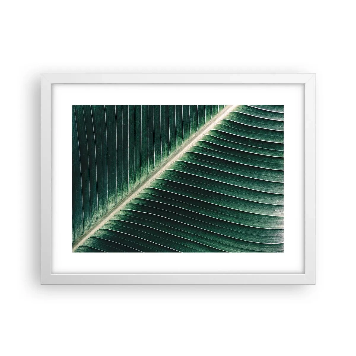 Plakat i hvid ramme - Naturens rytme - 40x30 cm