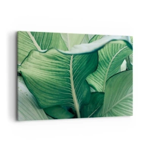 Lærredstryk - Billede på lærred - Livet er intenst grønt - 100x70 cm