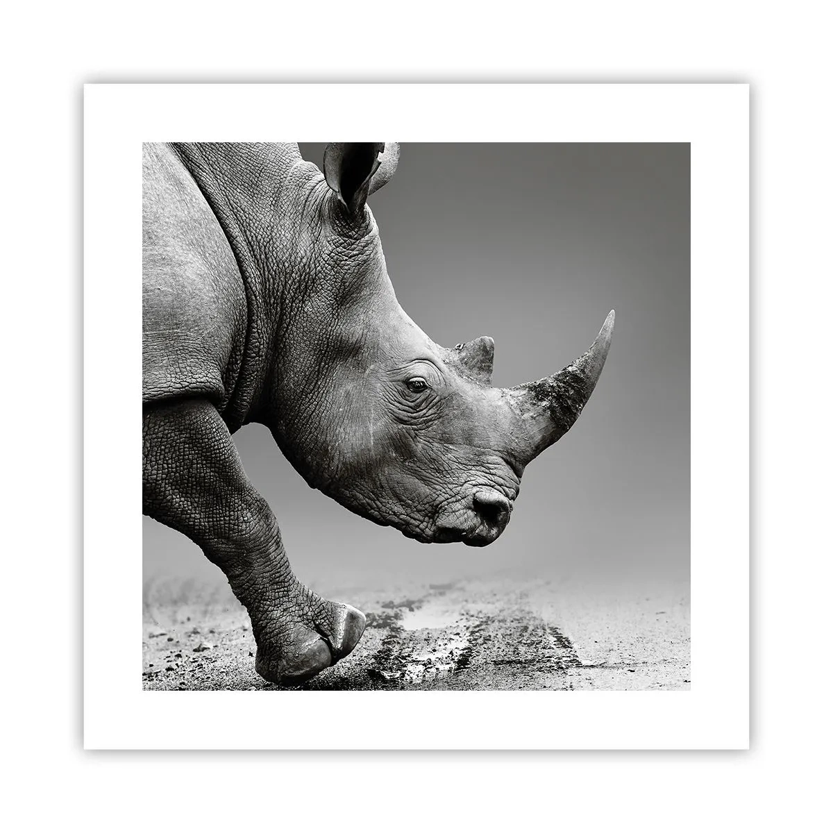 Plakat - En ustoppeli - 40x40 cm