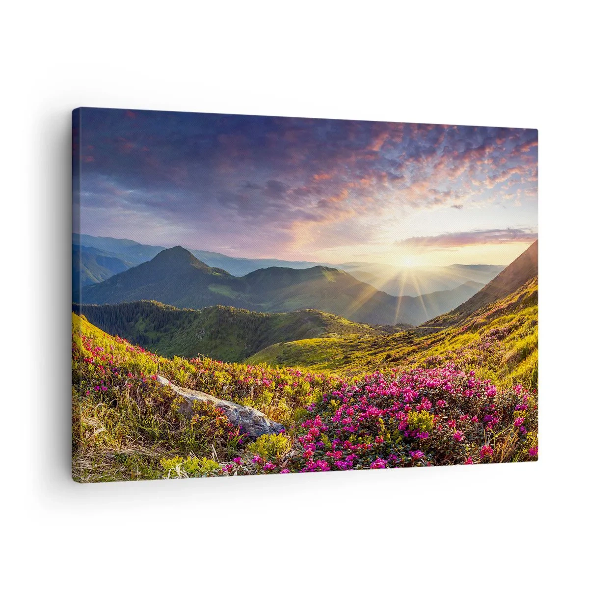 Lærredstryk - Billede på lærred - Friskheden af en morgen i bjergene - 70x50 cm