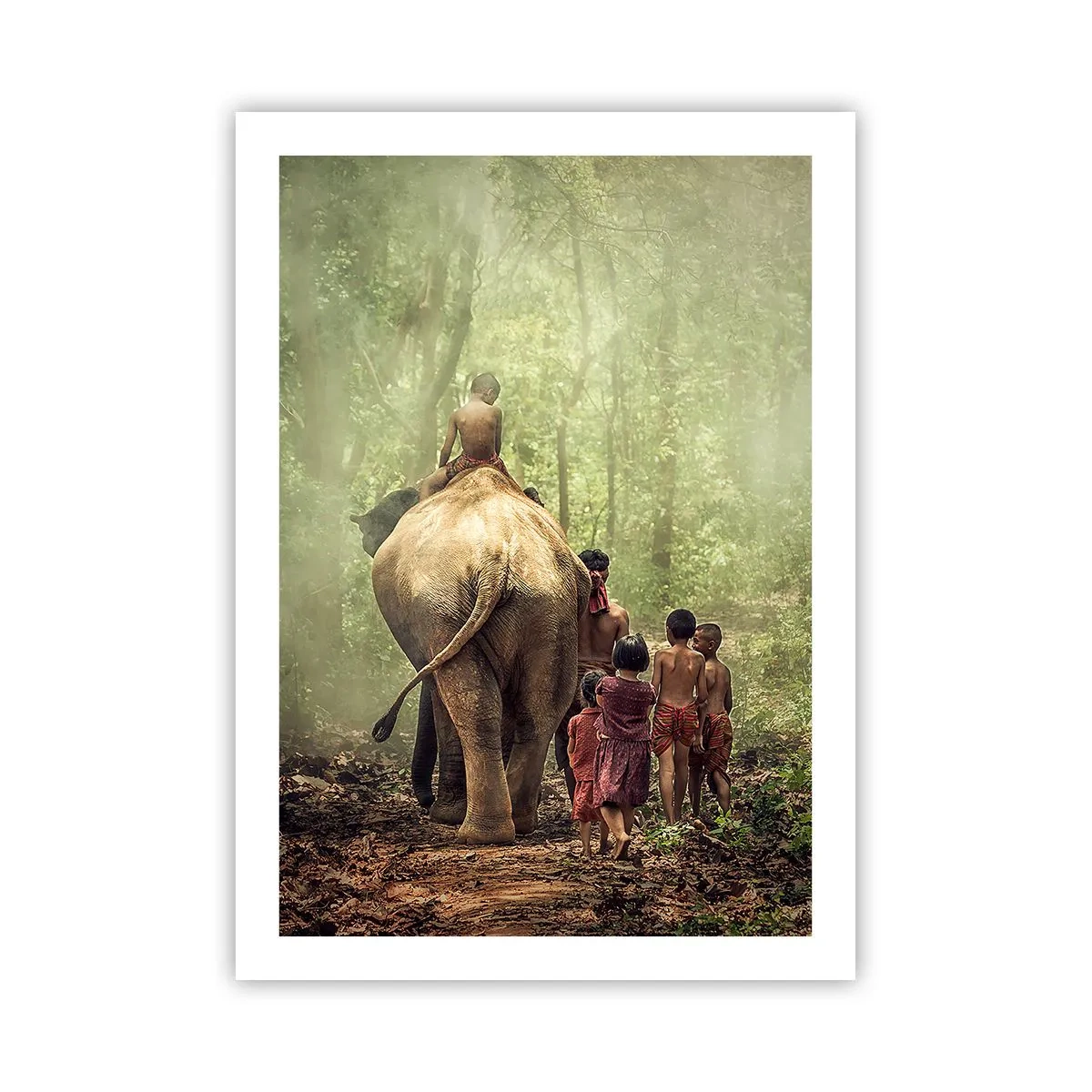 Plakat - Den nye Junglebog - 50x70 cm