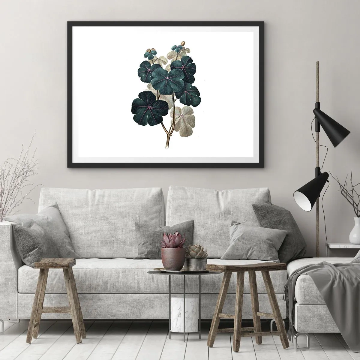 Plakat i sort ramme - Fra et gammelt herbarium - 70x50 cm