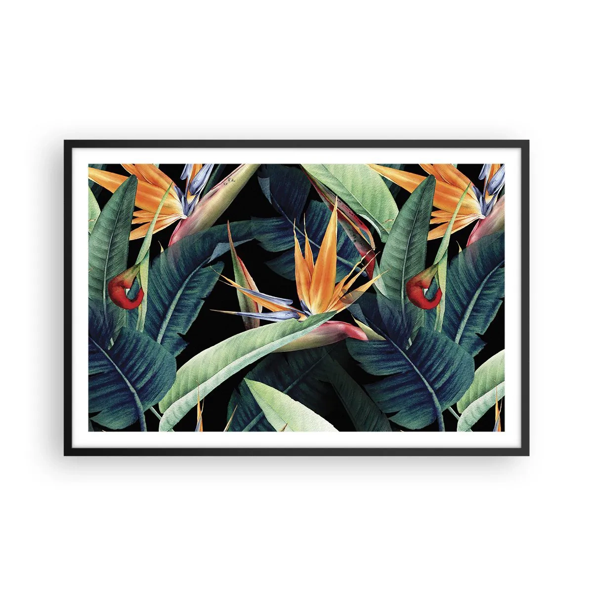 Plakat i sort ramme - Flammeblomster i troperne - 91x61 cm
