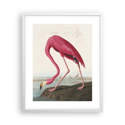 Plakat i hvid ramme - Et forbløffende væsen - 40x50 cm