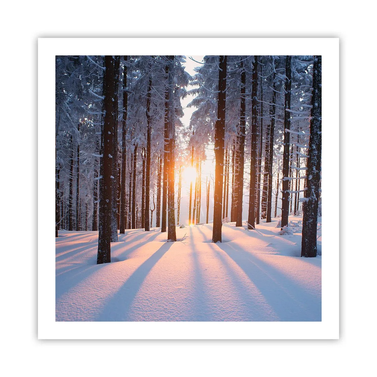 Plakat - Klart i sort og hvidt - 60x60 cm