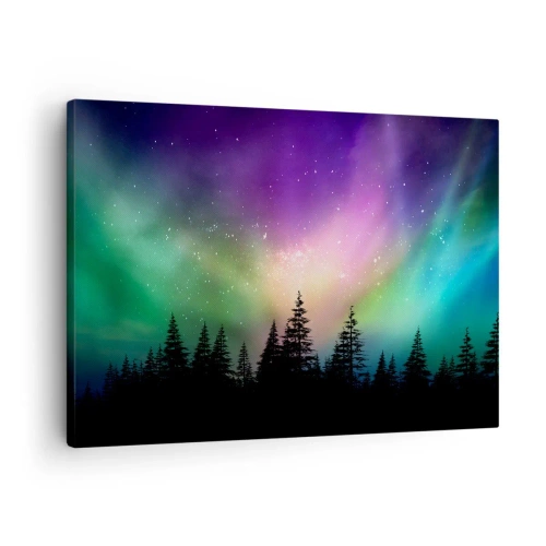 Lærredstryk - Billede på lærred - Aurora Borealis over en skov med en stjerneklar himmel - 70x50cm - Hvid magi - Moderne vægdekoration til stue og soveværelse ARTTOR