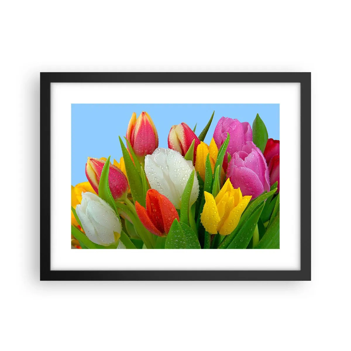 Plakat i sort ramme - En blomstret regnbue i dugdråber - 40x30 cm