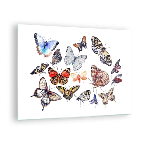 Billede på glas - Farverige sommerfugle i en kunstnerisk komposition - 70x50cm - Blonder, farverig sværm - Moderne vægdekoration til stue og soveværelse ARTTOR