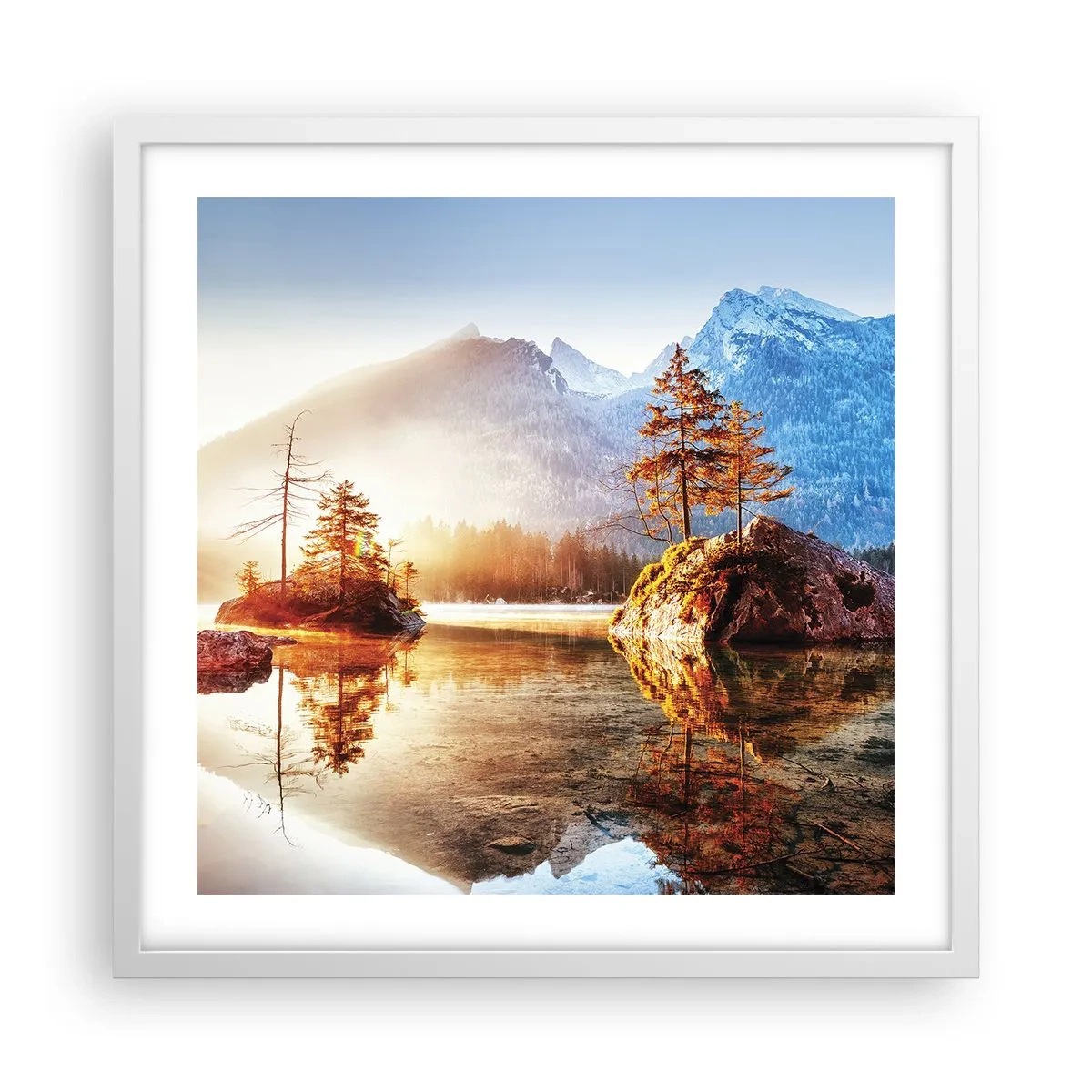 Plakat i hvid ramme - Naturen i et nyt lys - 50x50 cm