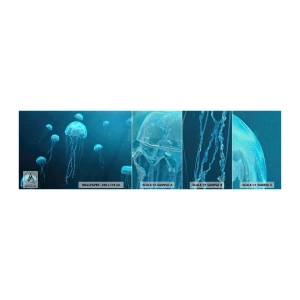 Prøve Fototapet Premium Sand - Havets dans - Vandmand, Ocean, Vand - 100x30 cm