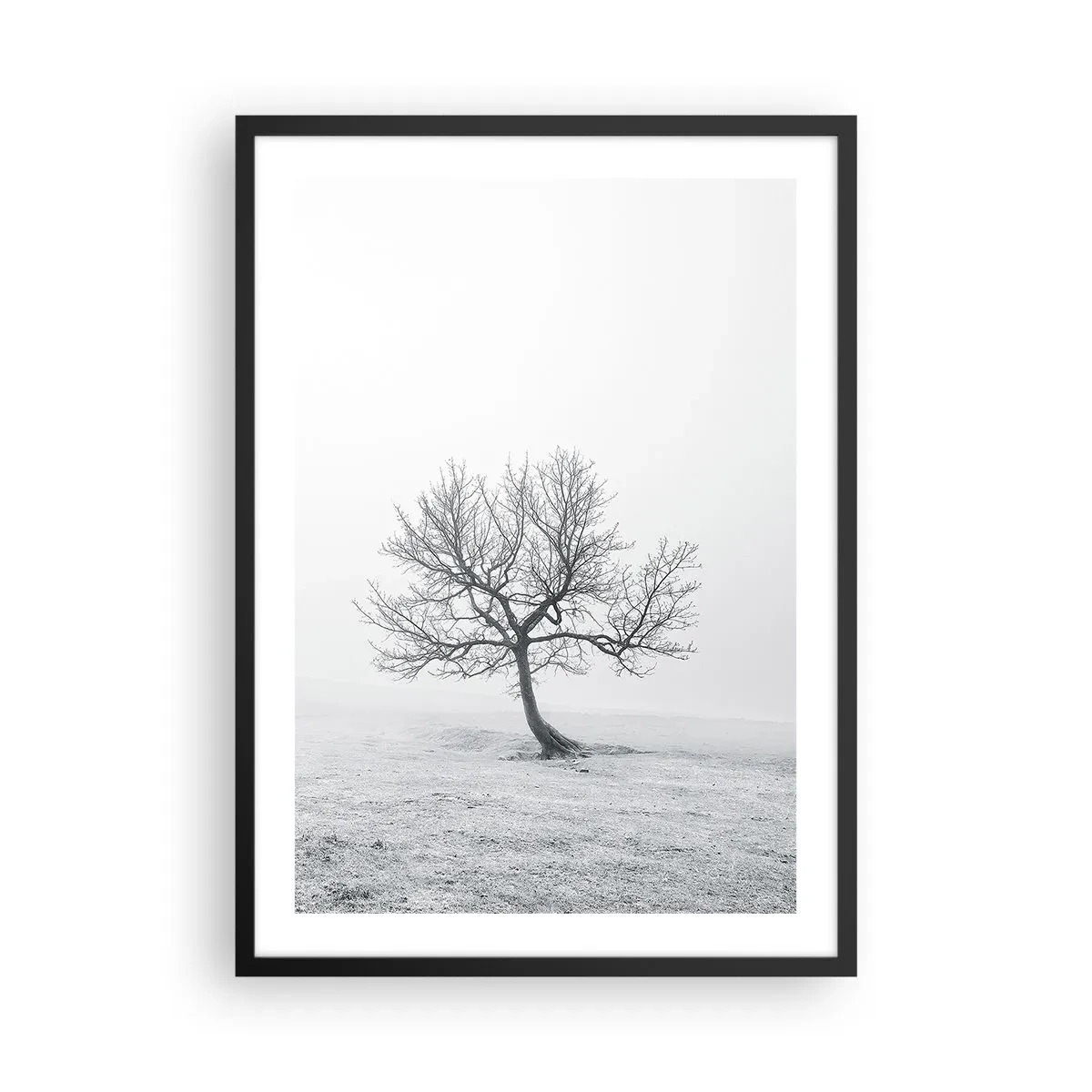 Plakat i sort ramme - Et minimalistisk landskab med et ensomt træ i vinteromgivelser. - 50x70cm - Mod intetheden - Moderne vægdekoration til stue og soveværelse ARTTOR